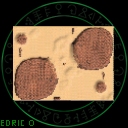 Desert Siege